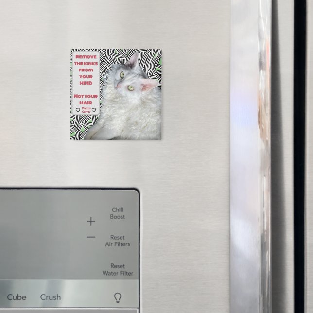 Remove the Kinks from your Mind, Not your Hair  Magnet (In Situ (Fridge))