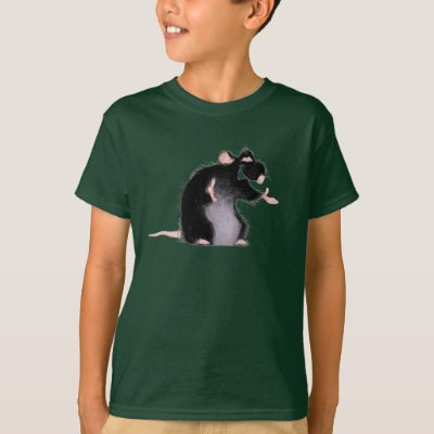 Remy Disney T-Shirt