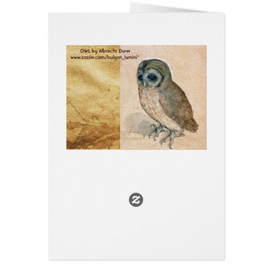 RENAISSANCE ANIMAL DRAWINGS / THE OWL (Back)