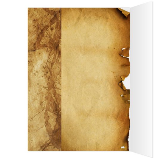 RENAISSANCE ANIMAL DRAWINGS / THE OWL (Inside (Left))