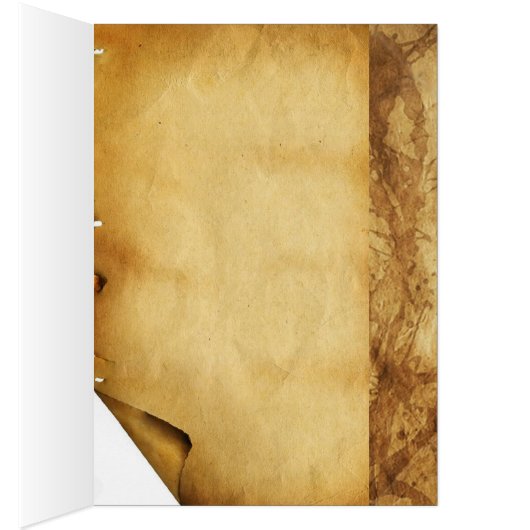 RENAISSANCE ANIMAL DRAWINGS / THE OWL (Inside (Right))