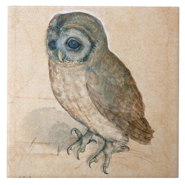 RENAISSANCE ANIMAL DRAWINGS / THE OWL CERAMIC TILE (Front)