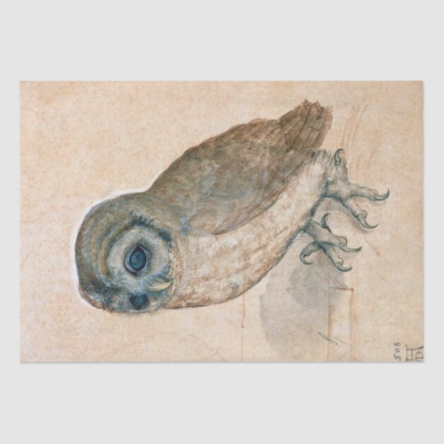 RENAISSANCE ANIMAL DRAWINGS /THE OWL TISSUE PAPER (Front)