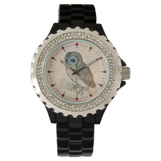 RENAISSANCE ANIMAL DRAWINGS / THE OWL WATCH (Front)