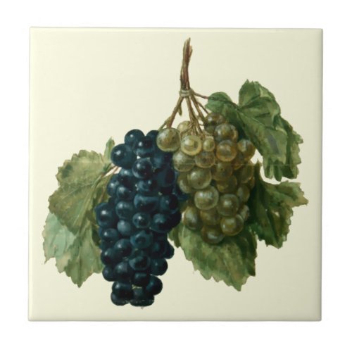 Renaissance Era Grapes by Jacques le Moyne Ceramic Tile