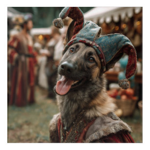 Renaissance Faire Dogs: Belgian Malinois Acrylic Print