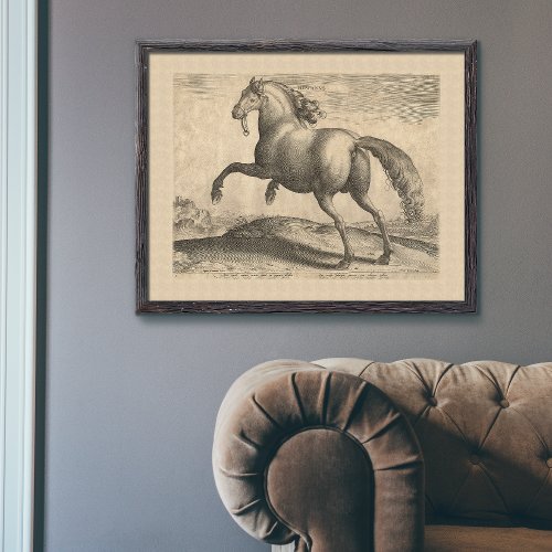 Renaissance Stallion Spanish Horse by Stradanus Po Poster