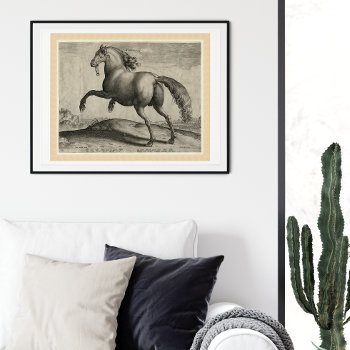 Renaissance Stallion Spanish Horse By Stradanus Poster by AntiqueImages at Zazzle