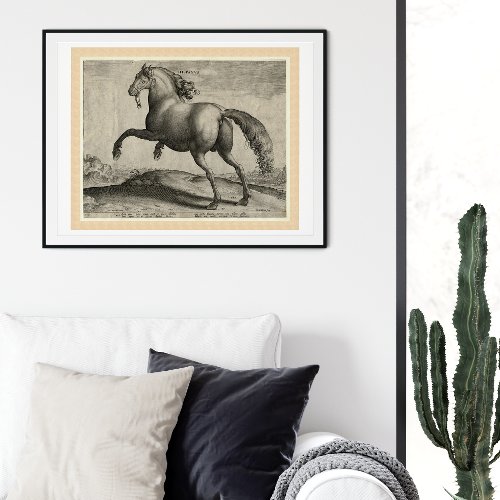 Renaissance Stallion Spanish Horse by Stradanus Poster