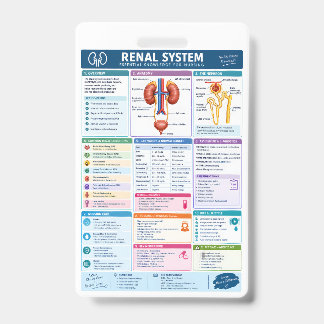 Renal System Analysis Nursing Reference, Kidney Ba Badge