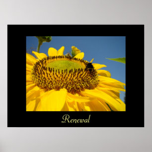 Renewal art print gifts Sunflower Garden canvas
