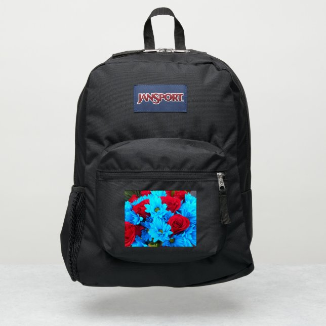 Renilde JanSport Backpack (Front)