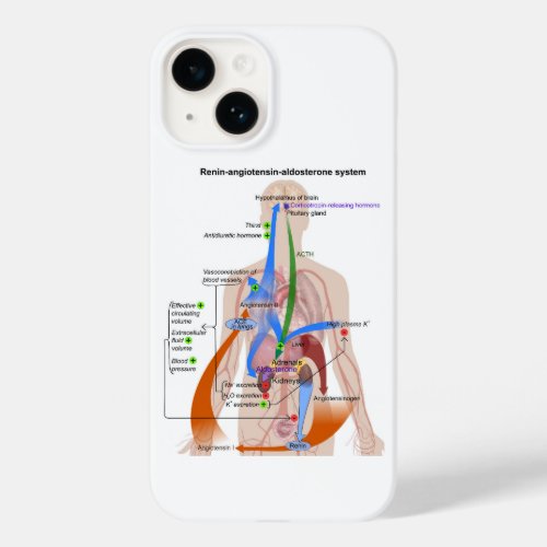 Renin_Angiotensin System Chart Human Body Diagram Case_Mate iPhone 14 Case