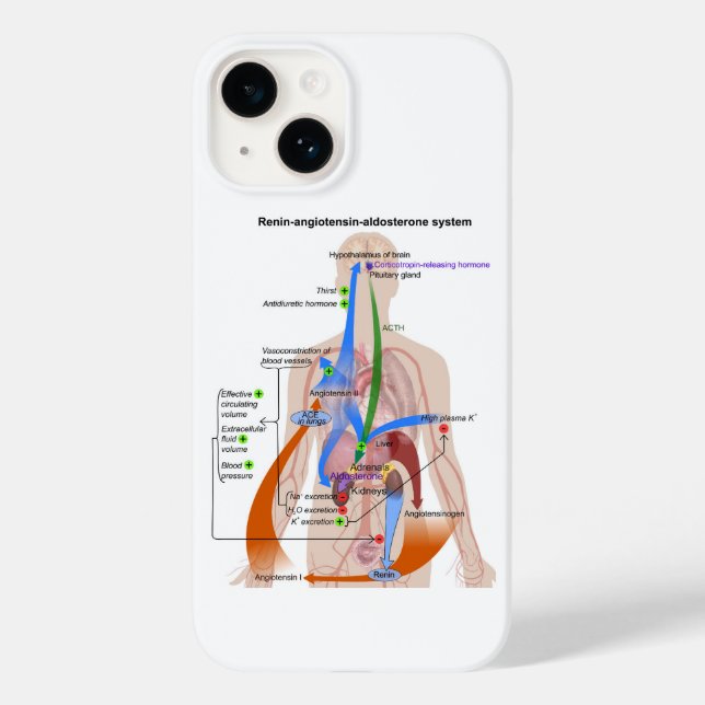 Renin-Angiotensin System Chart Human Body Diagram Case-Mate iPhone Case (Back)