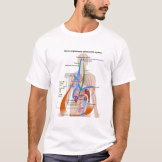 Renin-Angiotensin System Chart Human Body Diagram T-Shirt