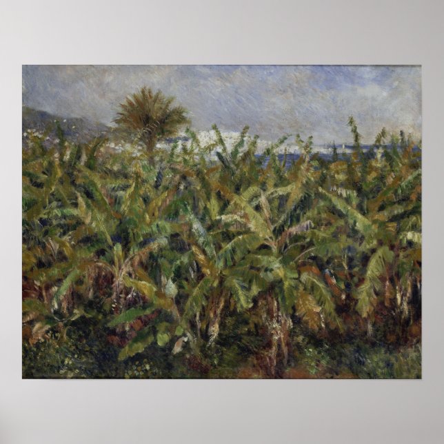 Renoir - Field Of Banana Trees Poster (Front)