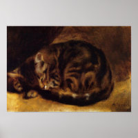 renoir sleeping cat