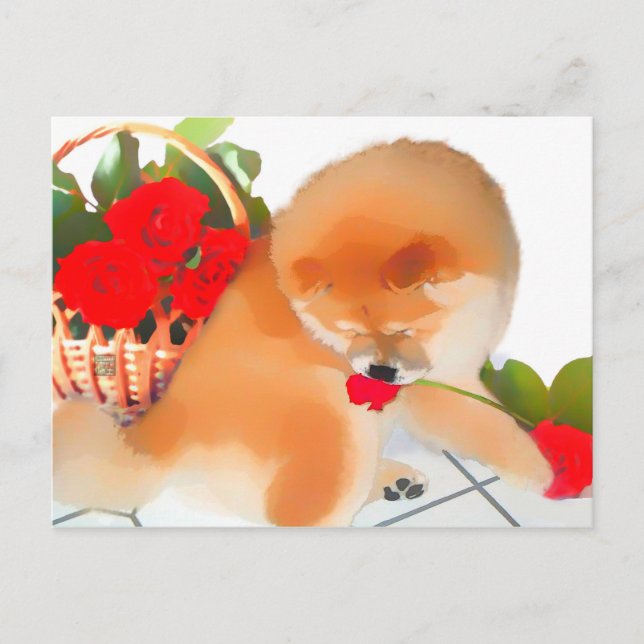 RENY heARTdog chow postcard (Front)