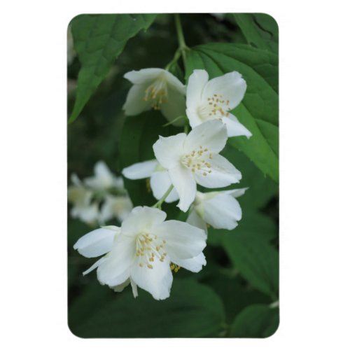 Replace Jasmine Photo Vertical Make Personalized Magnet