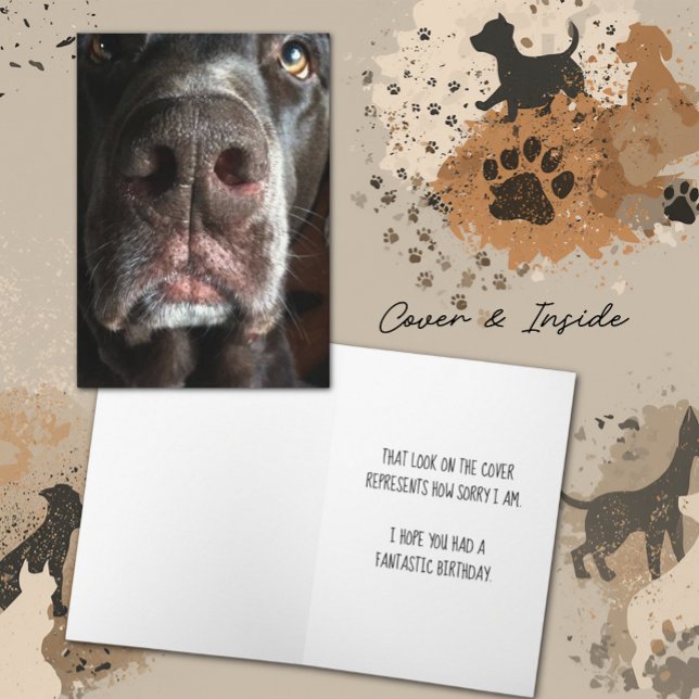 Replaceable Chocolate Lab Photo Belated Birthday Card (Chocolate Lab close-up snout photograph cover and inside template text greeting card)