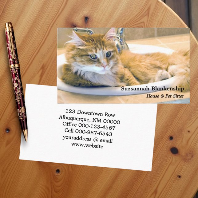 Replaceable Funny Cat in Sink Photograph  Business Card (Business card template front and back)