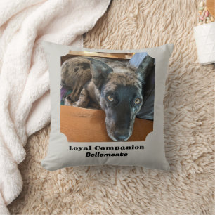 Replaceable Pet Photo with Template Text Throw Pillow