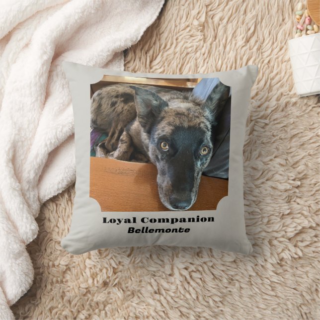 Replaceable Pet Photo with Template Text Throw Pillow (Blanket)