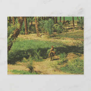 Replica Vintage Egypt, Nile delta agriculture Postcard