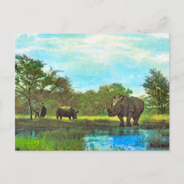 Replica  Vintage Rhinoceros, South African reserve Postcard (Front)