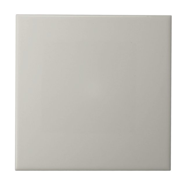 Repose Gray Solid Color Ceramic Tile (Front)