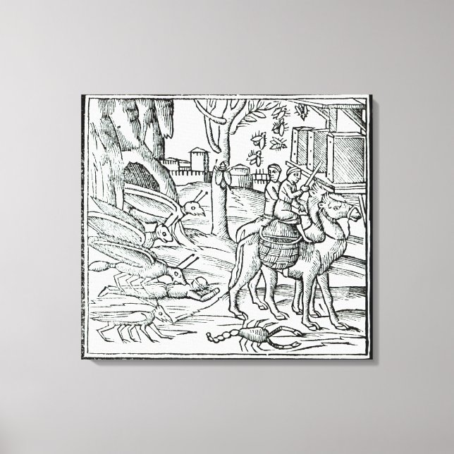 Representation of the Plague, 1572 Canvas Print (Front)