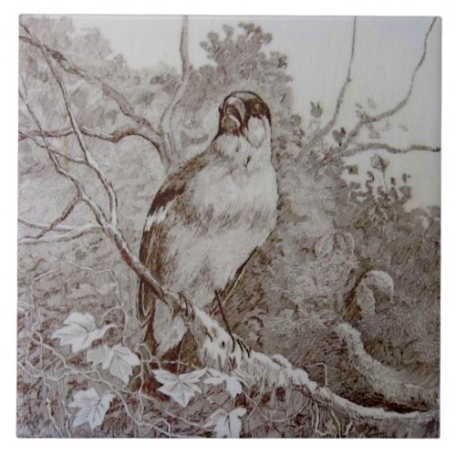 Repro 1886 Minton Sepia Transferware Bird Art TIle