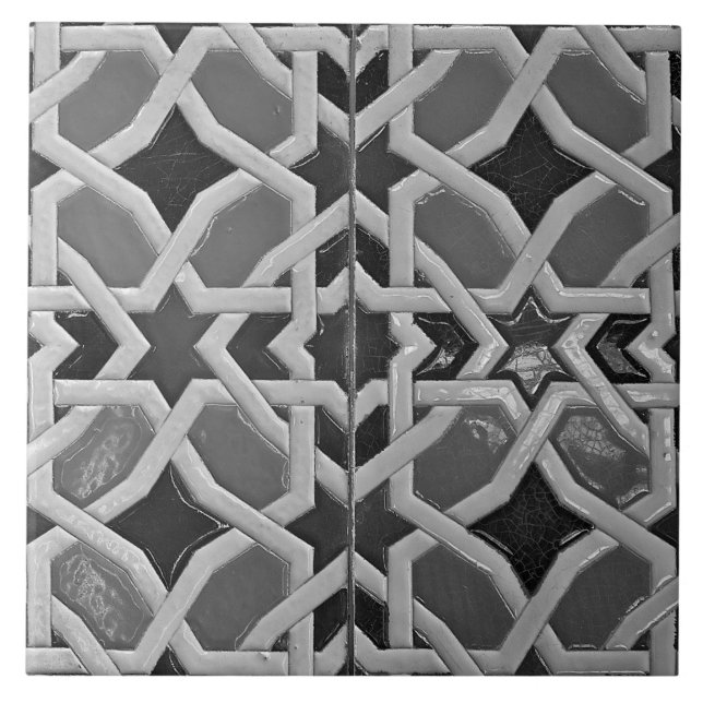 Repro Spanish Geometric Azulejos Gray Ceramic Tile (Front)