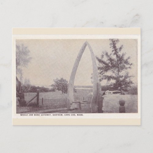 Reproduction Vintage Postcard Cape Cod Mass