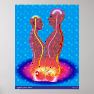 Reproductive Colors Poster