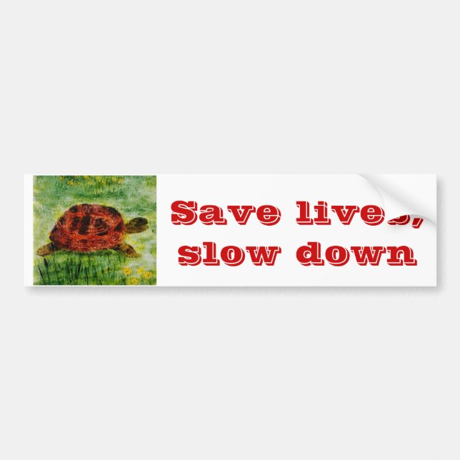 Reptile Animal Art Tortoise Bumper Sticker (Front)