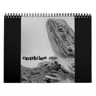 Reptile Calendar 2021