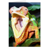 reptile card (Front)