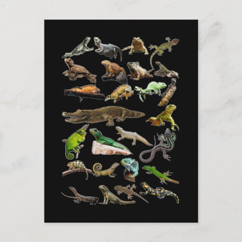 Reptile Collage Lizard Gecko Bearded Dragon Postcard