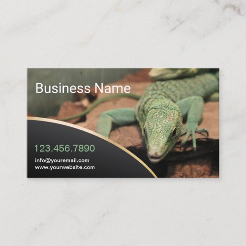 Reptile Lizard Live Pet Store Professional Business Card