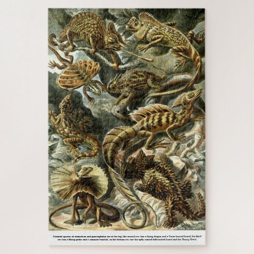Reptile Lizards by Ernst Haeckel Jigsaw Puzzle