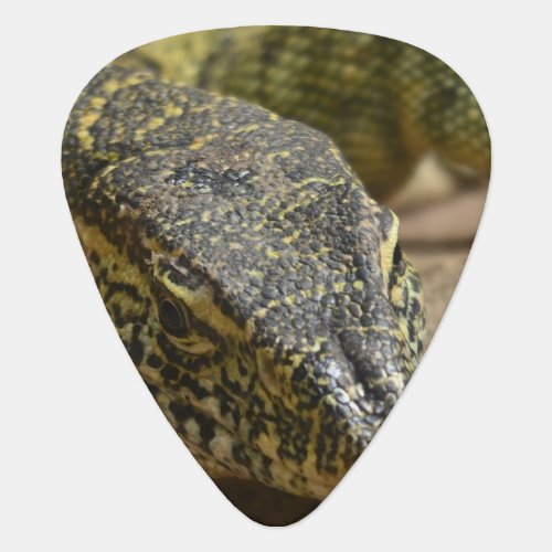 Reptile Nile Monitor Lizard Guitar Pick