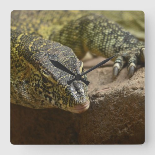 Reptile Nile Monitor Lizard Wall Clock