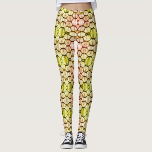 Reptile Scales Leggings