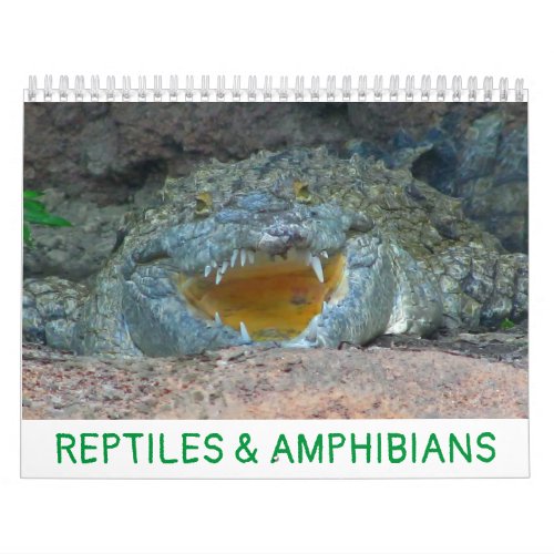 Reptiles  Amphibians Calendar