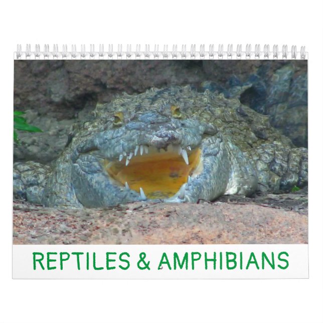 Reptiles & Amphibians Calendar (Cover)