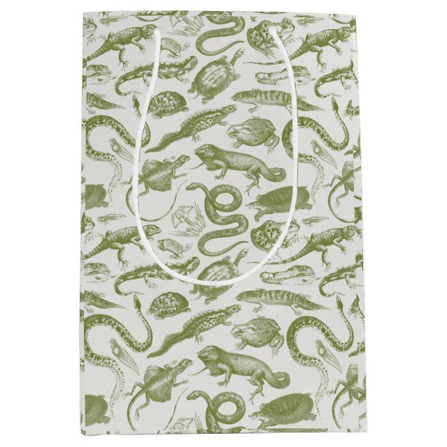 Reptiles and Amphibians Animals Goblincore Pattern Medium Gift Bag (Front)
