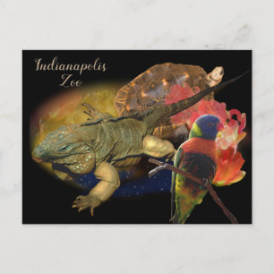 Reptiles and Birds from Indianapolis Zoo Postcard