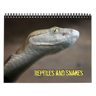 Reptiles and Snakes Calendar