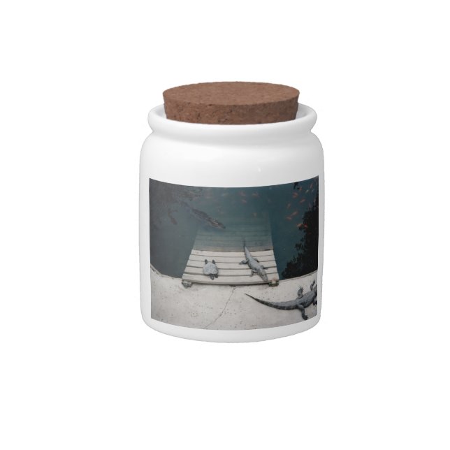 Reptiles Basking Candy Jar (Front)